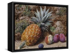 A Pineapple, a Peach and Plums on a Mossy Bank-John Sherrin-Framed Stretched Canvas