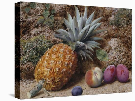 A Pineapple, a Peach and Plums on a Mossy Bank-John Sherrin-Stretched Canvas