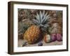 A Pineapple, a Peach and Plums on a Mossy Bank-John Sherrin-Framed Giclee Print