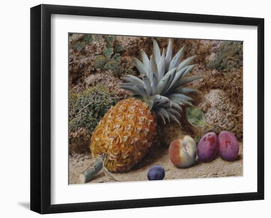 A Pineapple, a Peach and Plums on a Mossy Bank-John Sherrin-Framed Giclee Print