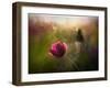 A Pink Childhood Memory-Shenshen Dou-Framed Premium Photographic Print