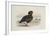 A Pink-Footed Goose-Archibald Thorburn-Framed Giclee Print