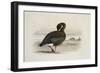 A Pink-Footed Goose-Archibald Thorburn-Framed Giclee Print