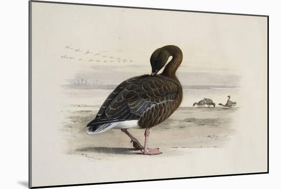 A Pink-Footed Goose-Archibald Thorburn-Mounted Giclee Print