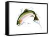 A Pink Salmon Jumping Out of the Water-null-Framed Stretched Canvas