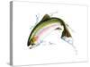 A Pink Salmon Jumping Out of the Water-null-Stretched Canvas