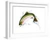 A Pink Salmon Jumping Out of the Water-null-Framed Art Print