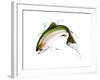 A Pink Salmon Jumping Out of the Water-null-Framed Art Print