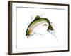 A Pink Salmon Jumping Out of the Water-null-Framed Art Print