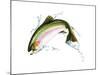 A Pink Salmon Jumping Out of the Water-null-Mounted Art Print