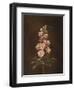 A Pink Stock with a Dragonfly-Barbara Regina Dietzsch-Framed Giclee Print