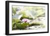 A Pink Water Lily Blossom-Petra Daisenberger-Framed Photographic Print