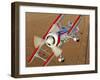 A Pitts Model 12 Biplane in Flight-Stocktrek Images-Framed Photographic Print