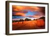 A Place in the Sky-Philippe Sainte-Laudy-Framed Photographic Print