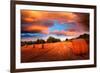 A Place in the Sky-Philippe Sainte-Laudy-Framed Photographic Print