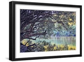 A Place to Dream-Incredi-Framed Photographic Print