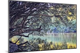 A Place to Dream-Incredi-Mounted Photographic Print