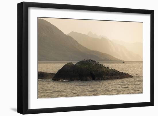 A Place to Rest-Andreas Stridsberg-Framed Giclee Print