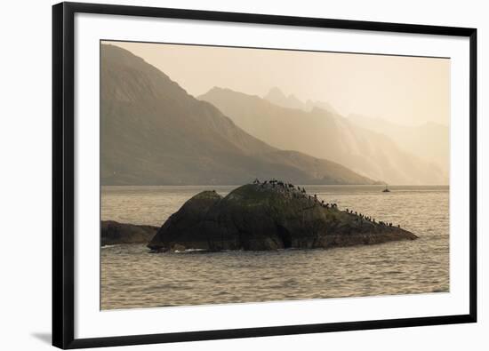 A Place to Rest-Andreas Stridsberg-Framed Giclee Print