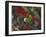 A Plain Parakeet, Brotogeris Tirica, Resting and Eating on a Coral Tree-Alex Saberi-Framed Photographic Print