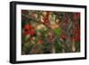 A Plain Parakeet, Brotogeris Tirica, Resting and Eating on a Coral Tree-Alex Saberi-Framed Premium Photographic Print