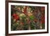 A Plain Parakeet, Brotogeris Tirica, Resting and Eating on a Coral Tree-Alex Saberi-Framed Photographic Print