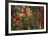 A Plain Parakeet, Brotogeris Tirica, Resting and Eating on a Coral Tree-Alex Saberi-Framed Photographic Print