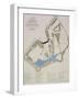 A Plan of the Gardens of Richard Grenville, Duke of Buckingham, at Stowe-William James Smith-Framed Giclee Print