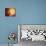 A Planet and its Moon Resisting the Relentless Heat of the Giant Orange Sun Pollux-Stocktrek Images-Stretched Canvas displayed on a wall