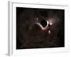 A Planet's Population Fleas in Panic from a Massive Black Hole-Stocktrek Images-Framed Photographic Print