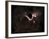 A Planet's Population Fleas in Panic from a Massive Black Hole-Stocktrek Images-Framed Photographic Print