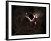 A Planet's Population Fleas in Panic from a Massive Black Hole-Stocktrek Images-Framed Photographic Print
