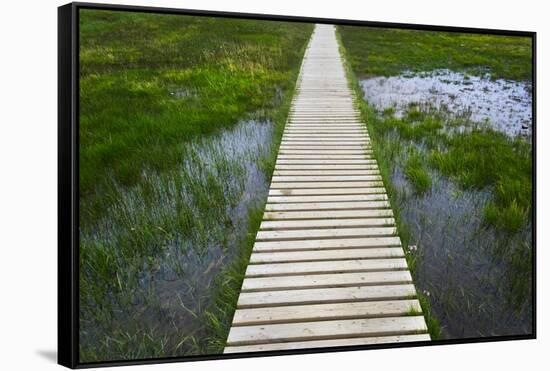 A plank pathway in Landmannalaugar, Iceland-Keren Su-Framed Stretched Canvas