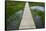 A plank pathway in Landmannalaugar, Iceland-Keren Su-Framed Stretched Canvas