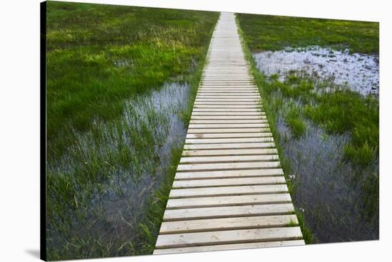 A plank pathway in Landmannalaugar, Iceland-Keren Su-Stretched Canvas