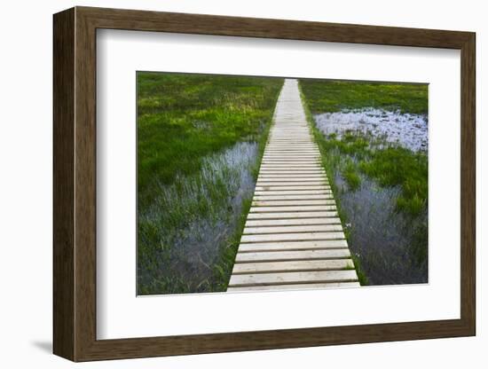 A plank pathway in Landmannalaugar, Iceland-Keren Su-Framed Photographic Print