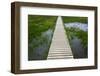 A plank pathway in Landmannalaugar, Iceland-Keren Su-Framed Photographic Print