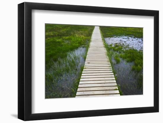 A plank pathway in Landmannalaugar, Iceland-Keren Su-Framed Photographic Print