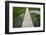 A plank pathway in Landmannalaugar, Iceland-Keren Su-Framed Photographic Print