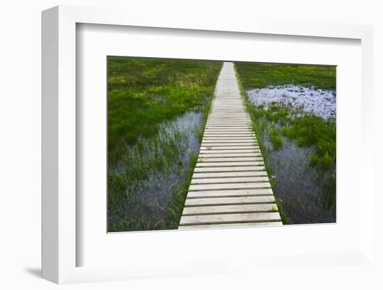 A plank pathway in Landmannalaugar, Iceland-Keren Su-Framed Photographic Print