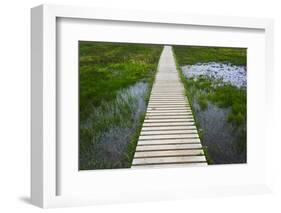 A plank pathway in Landmannalaugar, Iceland-Keren Su-Framed Photographic Print