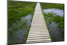 A plank pathway in Landmannalaugar, Iceland-Keren Su-Mounted Photographic Print