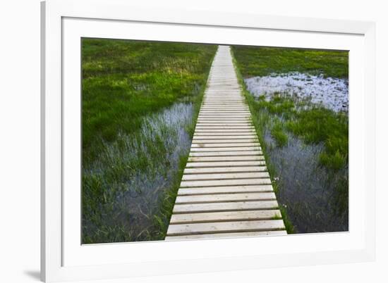 A plank pathway in Landmannalaugar, Iceland-Keren Su-Framed Photographic Print