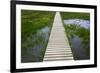 A plank pathway in Landmannalaugar, Iceland-Keren Su-Framed Photographic Print