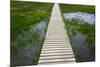 A plank pathway in Landmannalaugar, Iceland-Keren Su-Mounted Photographic Print
