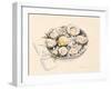 A Plate of Oysters, 2012-Alison Cooper-Framed Giclee Print