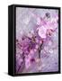 A Playful Floral Montage of Pink Orchid with Daisies-Alaya Gadeh-Framed Stretched Canvas