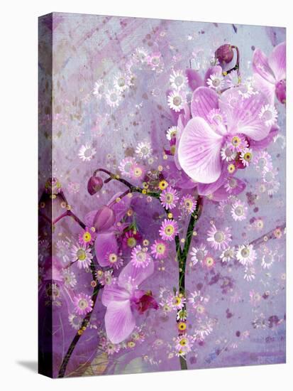 A Playful Floral Montage of Pink Orchid with Daisies-Alaya Gadeh-Stretched Canvas