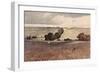 A Ploughed Field, C.1808-John Sell Cotman-Framed Giclee Print