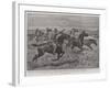 A Plucky Colonial, Driving Some of the Enemy's Horses While under Fire-John Charlton-Framed Giclee Print